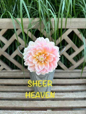 Sheer Heaven 3 фото