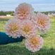 Sheer Heaven 3 фото 2