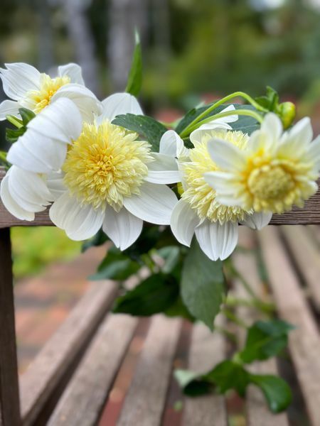 Platinum Blonde 52 фото