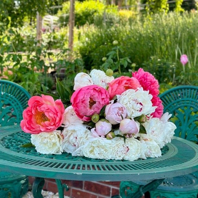 Peonies on the table